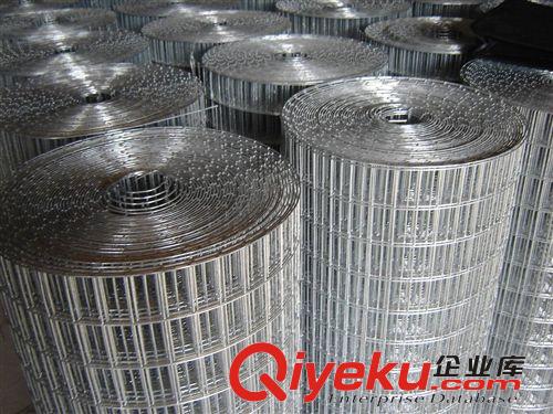 【誠信廠家】抹墻保溫電焊網(wǎng) 不銹鋼電焊網(wǎng)原始圖片3