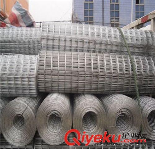 廠家專業生產1/2電焊網原始圖片3