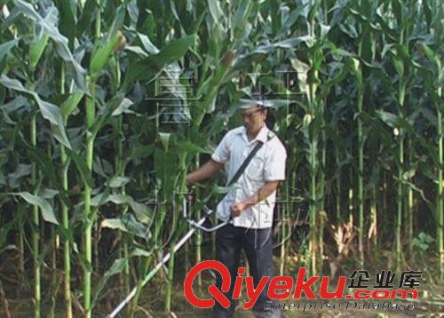 水稻汽油收割機/黃豆專用新款收割機/全新款收割機原始圖片2