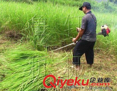 北京大豆收割整齊的收割機(jī)/內(nèi)蒙古鋪放整齊的收割機(jī)原始圖片2