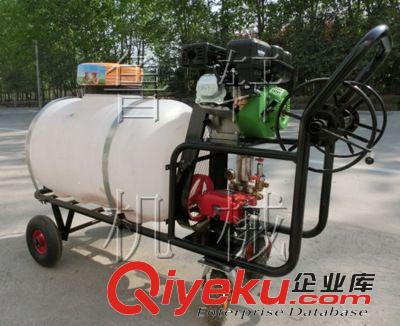 植保機械/萊蕪果園打藥機_汽油噴霧器_耐用打藥機煙霧劑原始圖片3