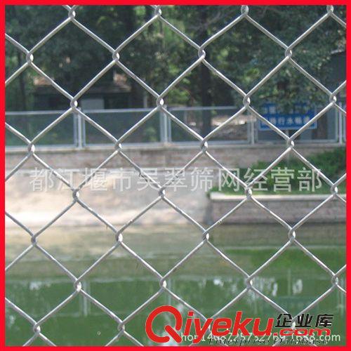 廠價(jià)直銷|鍍鋅鋼板網(wǎng)|小型鋼板網(wǎng)|過(guò)濾鋼板網(wǎng)片【菱形鐵絲網(wǎng)格】原始圖片3