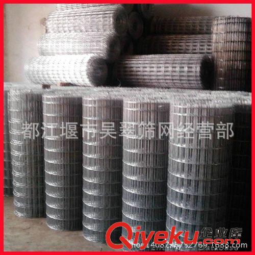 現(xiàn)貨供應zyjl荷蘭網(wǎng)，電焊網(wǎng)，圈玉米網(wǎng) ，鐵絲網(wǎng)