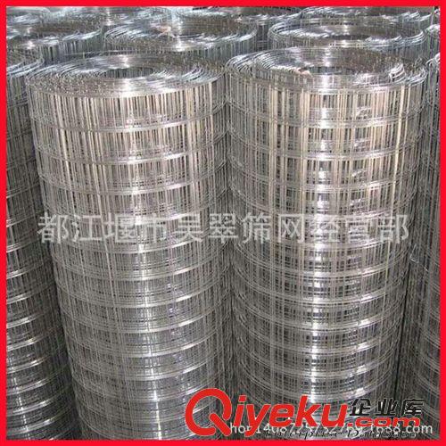 現(xiàn)貨供應zyjl荷蘭網(wǎng)，電焊網(wǎng)，圈玉米網(wǎng) ，鐵絲網(wǎng)