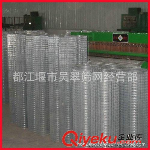 優質 電焊網 鍍鋅電焊網 建筑電焊網片 圈玉米鐵絲網
