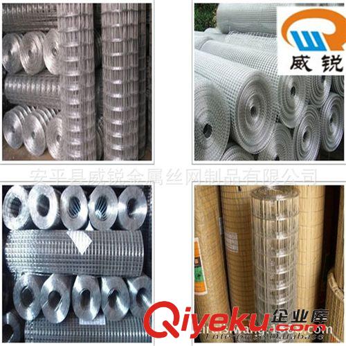 生產(chǎn)廠家低價(jià)促銷電焊網(wǎng),養(yǎng)殖電焊網(wǎng), 鍍鋅電焊網(wǎng), 荷蘭網(wǎng)原始圖片2