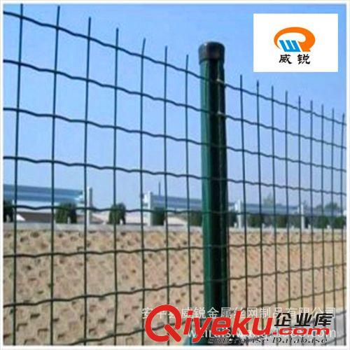 公路浸塑網、波蘭網、鐵絲網、公路護欄網圖片、【精致耐用】原始圖片3