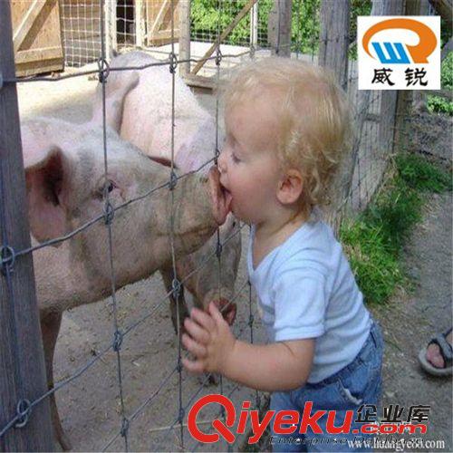 安平威銳畜牧業(yè)圍欄