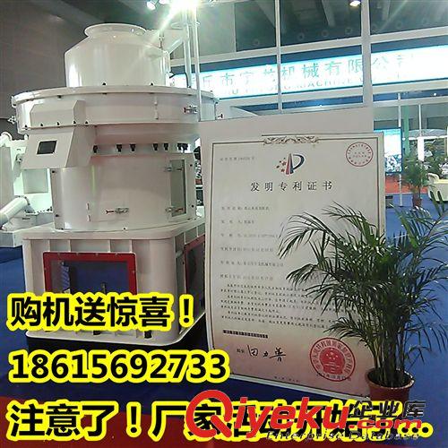山東木屑顆粒機廠家 木粉顆粒機 顆粒燃料設備原始圖片2