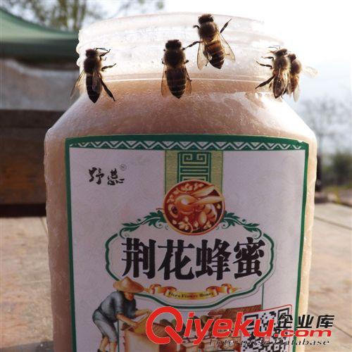 野蕊牌農(nóng)家{ctr}野生荊條花蜂蜜1000g 四川土特產(chǎn)批發(fā)鉆山甲tg原始圖片3