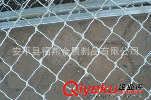 廠家直銷 新型家用防盜網(wǎng) 防護(hù)窗戶防盜網(wǎng) 價(jià)格實(shí)惠原始圖片2