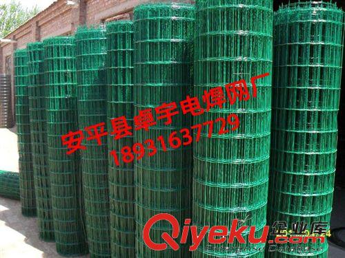 供應涂塑養殖圍欄網  綠色環保耐用荷蘭網 果園用隔離防護鐵絲網原始圖片2