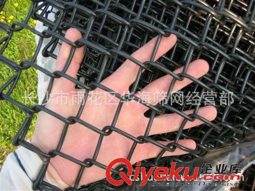【廠家直銷】菱形鐵絲網(wǎng)，勾花網(wǎng)，包塑勾花網(wǎng)，體育圍網(wǎng)原始圖片2