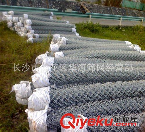 【廠家直銷】菱形鐵絲網(wǎng)，勾花網(wǎng)，包塑勾花網(wǎng)，體育圍網(wǎng)原始圖片3