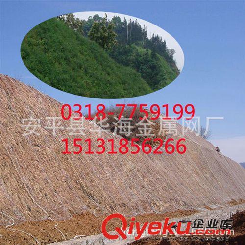 客土噴播專用鋼絲格柵網(wǎng) 廠家直銷山體邊坡綠化噴錨鐵絲網(wǎng)原始圖片3