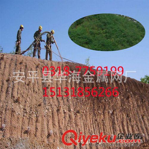 浙江暢銷編織勾花護山網(wǎng) 植草噴錨活絡(luò)菱形網(wǎng) 護坡綠化噴漿格柵網(wǎng)原始圖片3