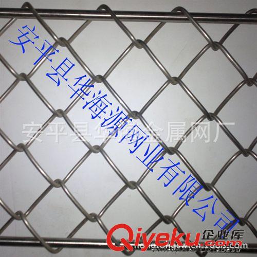 加工生產(chǎn)包塑勾花網(wǎng) 菱形編織網(wǎng)
