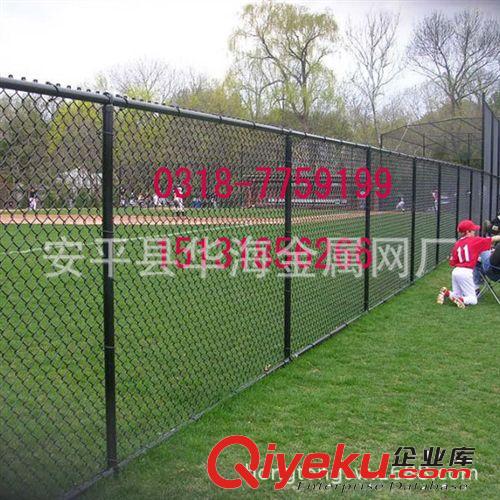 定做直銷菱形勾花網(wǎng) 鋼絲格柵網(wǎng) 活絡(luò)網(wǎng)圍欄 鐵絲隔離網(wǎng) 支護鐵網(wǎng)原始圖片2