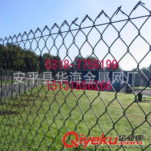定做直銷菱形勾花網(wǎng) 鋼絲格柵網(wǎng) 活絡(luò)網(wǎng)圍欄 鐵絲隔離網(wǎng) 支護鐵網(wǎng)原始圖片3