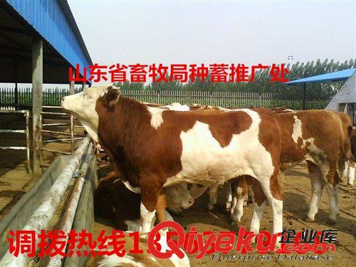 肉牛一般多少時間能出欄？利潤那 歡迎咨詢華正養牛基地