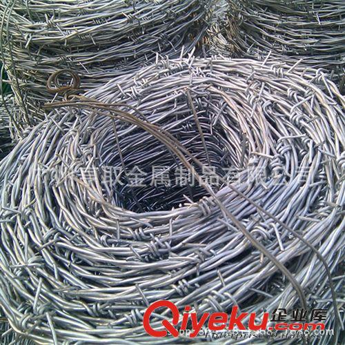 鍍鋅帶刺鐵絲網(wǎng) 304不銹鋼鋼絲刺網(wǎng) 帶刺防爬防護(hù)網(wǎng) 廣州工廠發(fā)貨