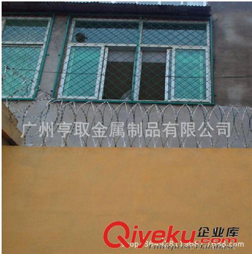 現(xiàn)貨批發(fā)小區(qū)防護(hù)刺網(wǎng) 高強(qiáng)度刺繩 防阻刀片刺網(wǎng) 工廠防盜刺網(wǎng)原始圖片3