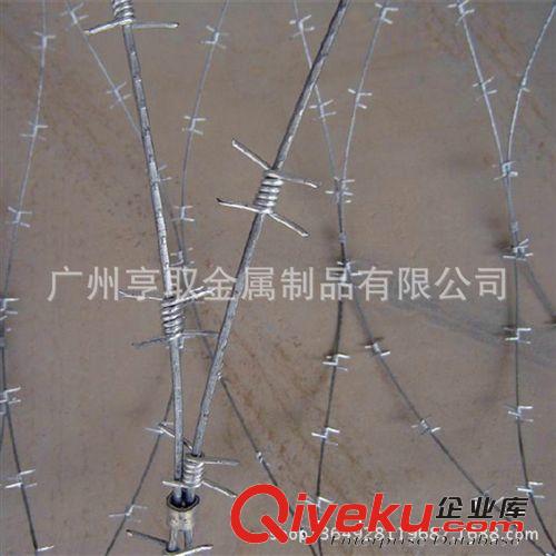 【廣東廣州工廠發(fā)貨】防生銹刺繩 鐵蒺藜帶刺鐵絲網(wǎng) 防盜帶刺圍網(wǎng)原始圖片2