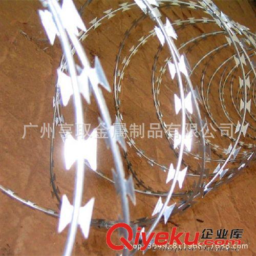 鍍鋅帶刺鐵絲網(wǎng) 304不銹鋼鋼絲刺網(wǎng) 帶刺防爬防護(hù)網(wǎng) 廣州工廠發(fā)貨