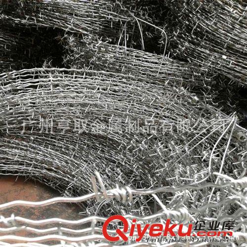 熱鍍鋅帶刺鐵絲網 304不銹鋼鋼絲刺網 可定做特殊形狀的帶刺鐵絲原始圖片3