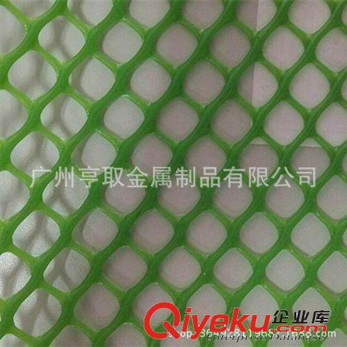 廠(chǎng)直銷(xiāo)全新料養(yǎng)殖塑料網(wǎng) 小孔養(yǎng)雞塑料網(wǎng) 耐用防斷裂養(yǎng)鴨塑料平網(wǎng)原始圖片2