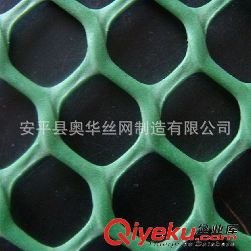 安平奧華供應(yīng)養(yǎng)雞育雛用塑料養(yǎng)殖網(wǎng)