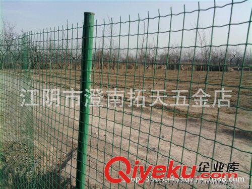 浸塑鐵絲電焊網(wǎng) 養(yǎng)殖圍欄網(wǎng) 包塑荷蘭網(wǎng) PVC涂塑電焊網(wǎng)