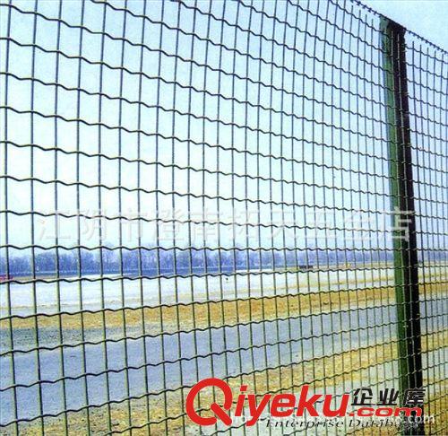 浸塑鐵絲電焊網(wǎng) 養(yǎng)殖圍欄網(wǎng) 包塑荷蘭網(wǎng) PVC涂塑電焊網(wǎng)