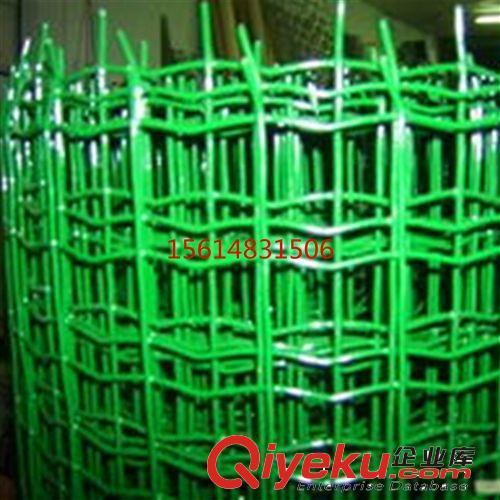 廠家直銷包塑荷蘭網(wǎng)、小區(qū)波浪形防護(hù)網(wǎng)、波浪網(wǎng)荷蘭網(wǎng)批發(fā)原始圖片2