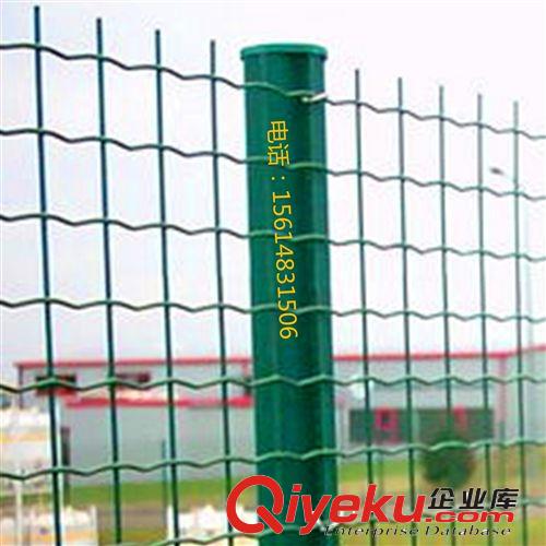 廠家直銷包塑荷蘭網(wǎng)、小區(qū)波浪形防護(hù)網(wǎng)、波浪網(wǎng)荷蘭網(wǎng)批發(fā)原始圖片3