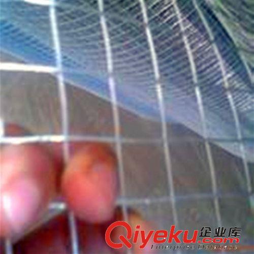 廠家直銷電焊網、安平森立電焊網、保溫電焊網原始圖片2