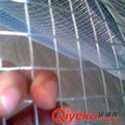 森立電焊網、各種型號電焊網，電焊網批發