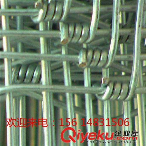 廠家直銷牛欄網(wǎng)、草原養(yǎng)殖牛羊草原網(wǎng)、不銹鋼牛欄網(wǎng)原始圖片3