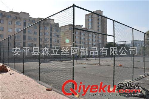雙邊絲護(hù)欄網(wǎng)、綠色護(hù)欄網(wǎng)、護(hù)欄網(wǎng)廠家原始圖片3