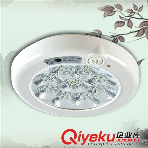 品藝人體智能LED吸頂燈感應走廊燈 聲光控簡約陽臺車庫應急照明原始圖片3