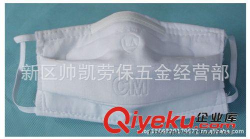 供應(yīng) 新2002型防塵口罩 防沙口罩 防病毒口罩原始圖片2