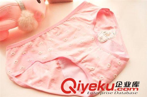 H7873生理褲女中腰內(nèi)褲防水生理內(nèi)褲短褲全棉碎花點內(nèi)褲批發(fā)原始圖片2