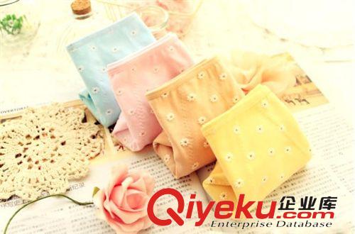 H7873生理褲女中腰內(nèi)褲防水生理內(nèi)褲短褲全棉碎花點內(nèi)褲批發(fā)原始圖片3