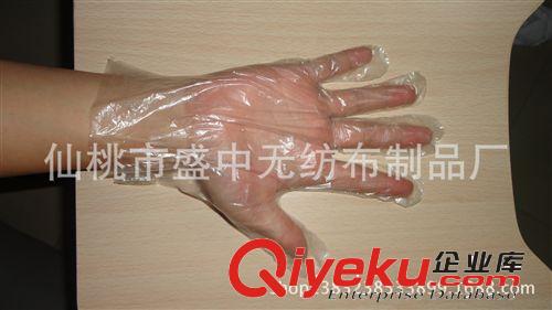 一次性手套 PE全新料防水放油吃蝦子薄膜手套 10000只/箱原始圖片3