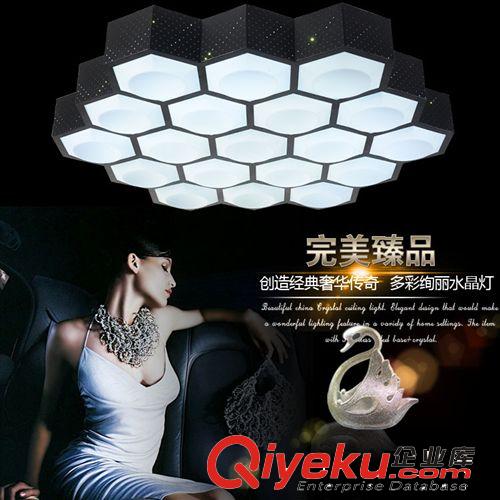 LED吸頂燈 現(xiàn)代簡約臥室燈 異形鐵藝亞克力吸頂燈書房燈 客廳燈原始圖片3