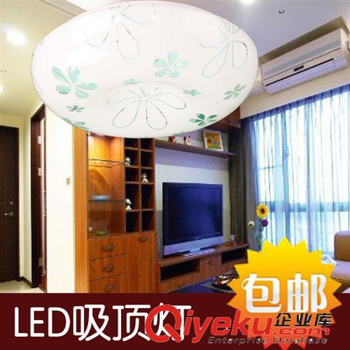現代吸頂燈 陽臺燈 PCV燈罩 LED客廳花燈 燈具蘋果燈卡通燈原始圖片2