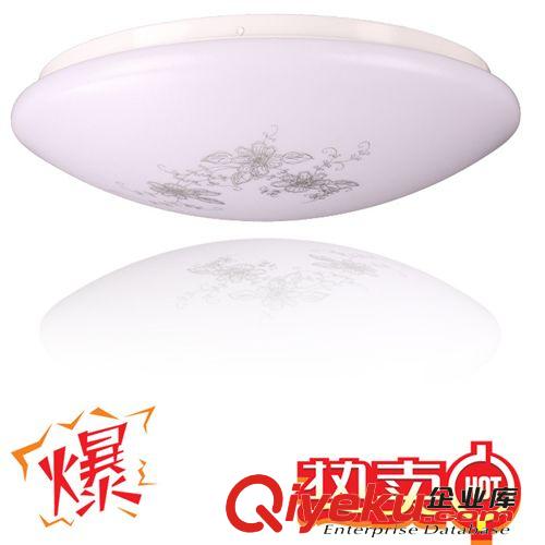吸頂燈 現(xiàn)代簡約燈 客廳燈 臥室燈 天花燈廠家直銷 批發(fā)燈具原始圖片2