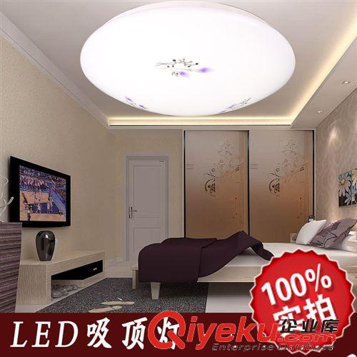 現代吸頂燈 陽臺燈 PCV燈罩 LED客廳花燈 燈具印花燈過道燈原始圖片2