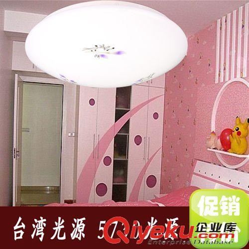 現代吸頂燈 陽臺燈 PCV燈罩 LED客廳花燈 燈具印花燈過道燈原始圖片3