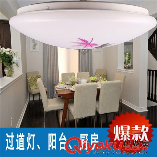 現(xiàn)代吸頂燈 陽(yáng)臺(tái)燈 PCV燈罩 LED客廳花燈 燈具印花燈過(guò)道燈